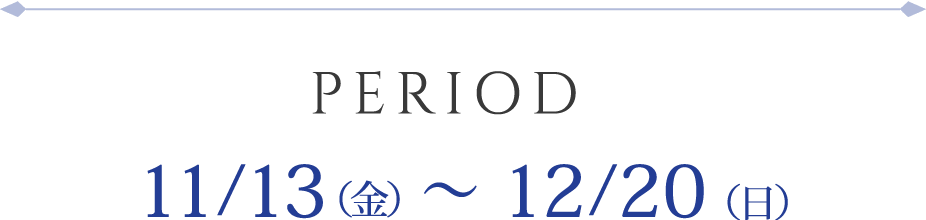 応募期間：2020年11月13日（金）〜12月20日（日）