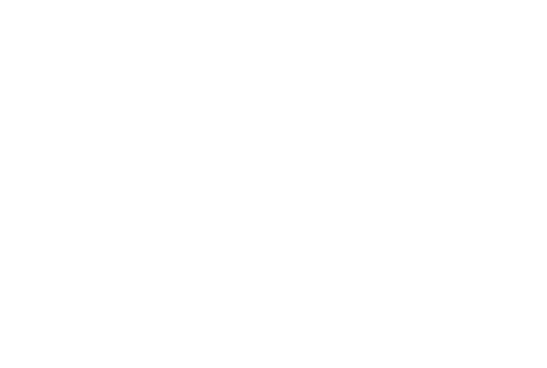 孤児を集めて暗殺者とバレリーナを養成する ロシア系犯罪組織:ルスカ・ロマ。 裏社会に轟く伝説の殺し屋:ジョン・ウィックを生み出した 組織で殺しのテクニックを磨いたイヴは、 幼い頃に殺された父親の復讐に立ち上がる。 しかし、裏社会の掟を破った彼女の前に、 あの伝説の殺し屋が現れる･･･