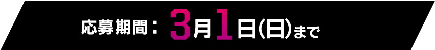 応募期間：3月1日（日）まで