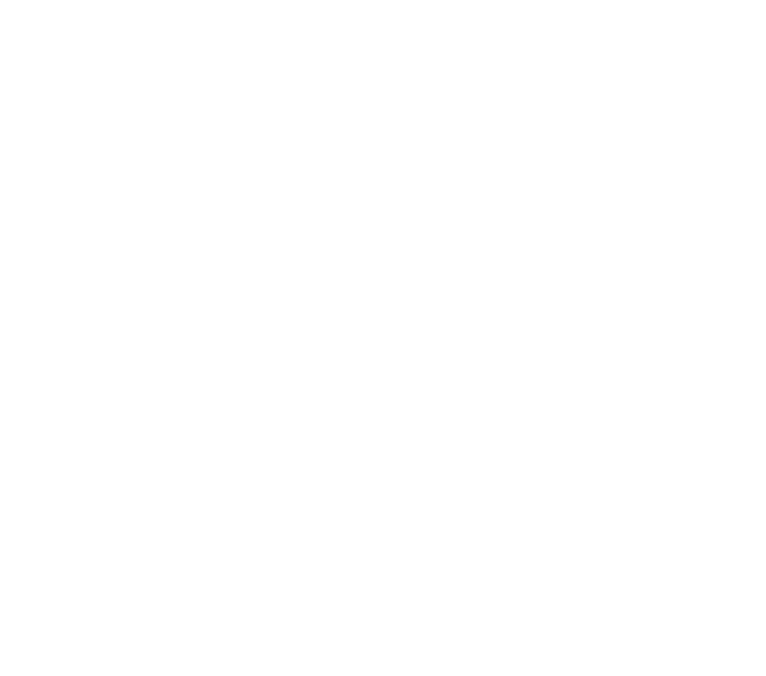 バイキングの一族が暮らすバーク島では、長年にわたり人間とドラゴンが戦いを繰り広げていた。族長ストイックの息子ヒックは、父のような立派なバイキングになりたいと願っているが、ひ弱で失敗ばかり。発明好きでユーモアや優しさをもちあわせたヒックは、勇敢であることが一人前の証しであるバイキングの世界では、なかなか認められない。ある日、ヒックは自作の投石器で、ドラゴンの中で最も凶暴とされるナイト・フューリーを撃墜する。とどめを刺せば一人前と認めてもらえると勇んだヒックだったが、弱ったドラゴンを目にしてとどめを刺すことはできなかった。傷ついて飛べずにいるそのドラゴンを「トゥース」と名付け、再び飛べるようにと人工の尾翼を開発し、飛行訓練を施すヒック。それはバイキングの掟に反すことだったが、トゥースは徐々に活力を取り戻していき、ヒックとトゥースは強い絆で結ばれていくが.......
