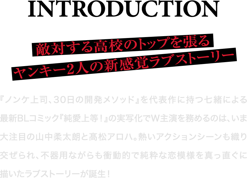 敵対する高校のトップを張る ヤンキー2人の新感覚ラブストーリー 『ノンケ上司、30日の開発メソッド』を代表作に持つ七緒による 最新BLコミック『純愛上等！』の実写化でW主演を務めるのは、いま大注目の山中柔太朗と高松アロハ。熱いアクションシーンも織り交ぜられ、不器用ながらも衝動的で純粋な恋模様を真っ直ぐに描いたラブストーリーが誕生！