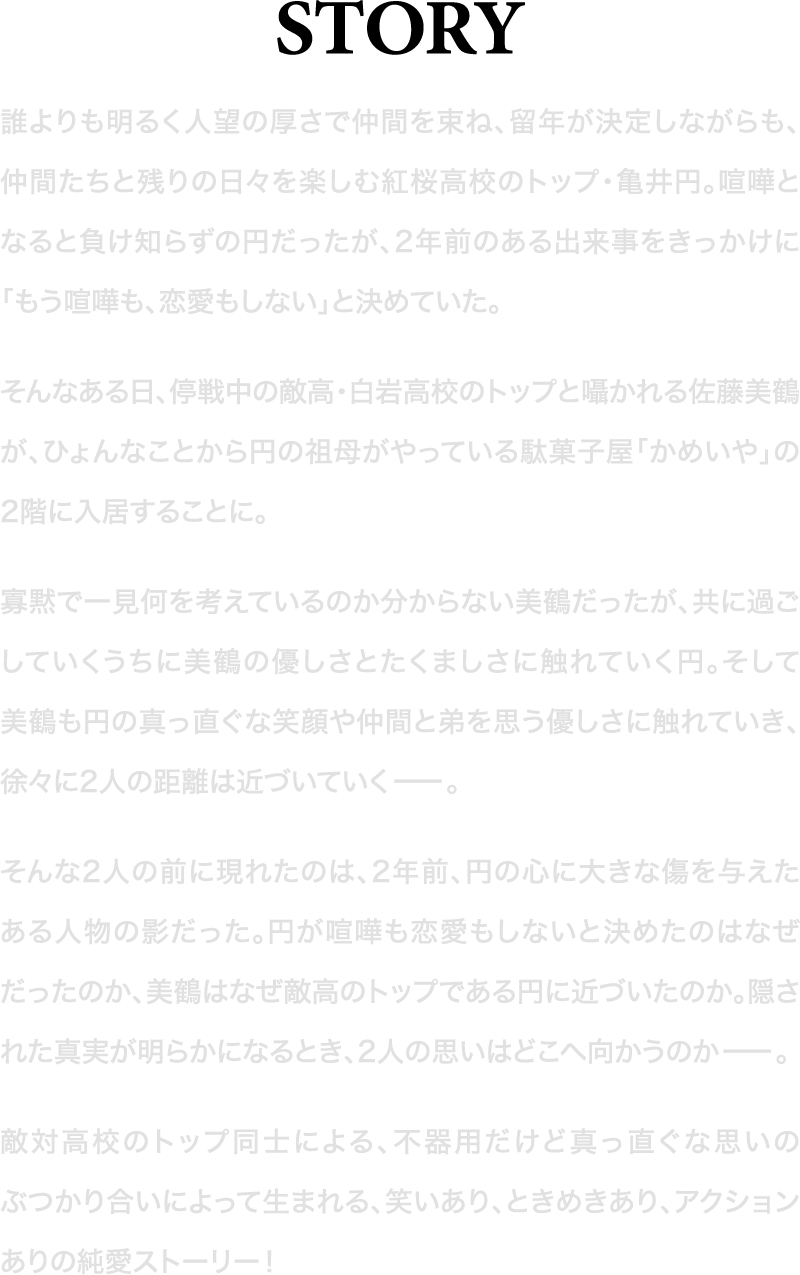 誰よりも明るく人望の厚さで仲間を束ね、留年が決定しながらも、仲間たちと残りの日々を楽しむ紅桜高校のトップ・倉井円。喧嘩となると負け知らずの円だったが、2年前のある出来事をきっかけに「もう喧嘩も、恋愛もしない」と決めていた。そんなある日、停戦中の敵高・白岩高校のトップと噂される佐藤美鶴が、ひょんなことから円の祖母がやっている駄菓子屋「かめいや」の2階に入居することに。寡黙で一見何を考えているのか分からない美鶴だったが、共に過ごしていくうちに美鶴の優しさたくましさに触れていく円。そして美鶴も円の真っ直ぐな笑顔や仲間と弟を思う優しさに触れていき、徐々に2人の距離は近づいていく——。そんな2人の前に現れたのは、2年前、円の心に大きな傷を与えたある人物の影だった。円が「喧嘩も恋愛もしない」と決めたのはなぜだったのか、美鶴はなぜ敵高のトップである円に近づいたのか。隠された真実が明らかになるとき、2人の思いはどこへ向かうのか——。敵対高校のトップ同士による、不器用だけど真っ直ぐな思いのぶつかり合いによって生まれる、笑いあり、ときめきあり、アクションありの純愛ストーリー！