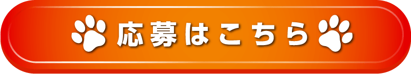応募はこちら