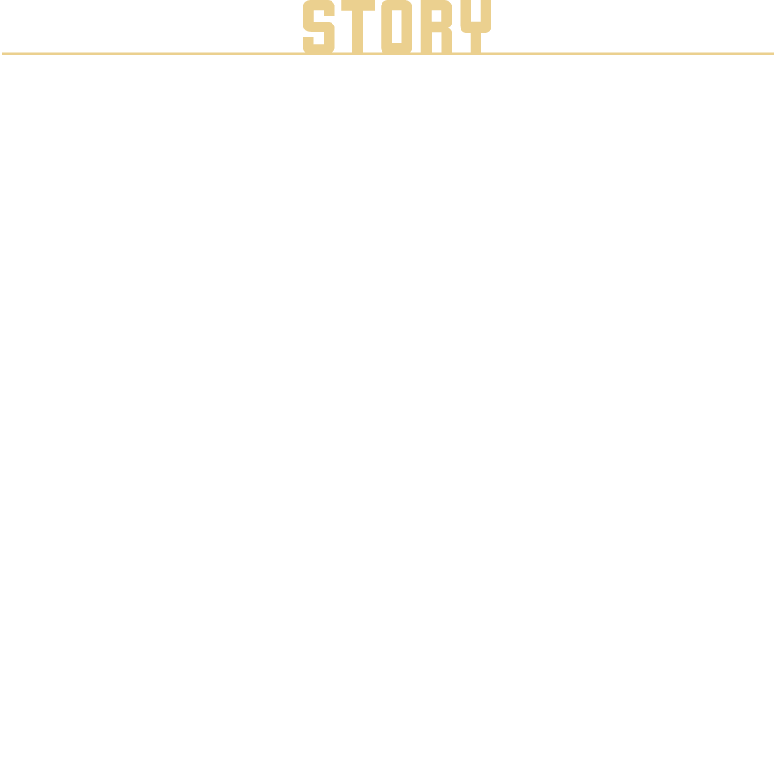 ストーリー