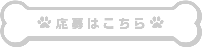 応募はこちら