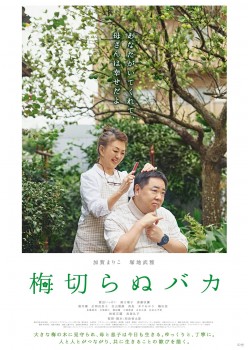 上映中作品 公開中 Movix柏の葉