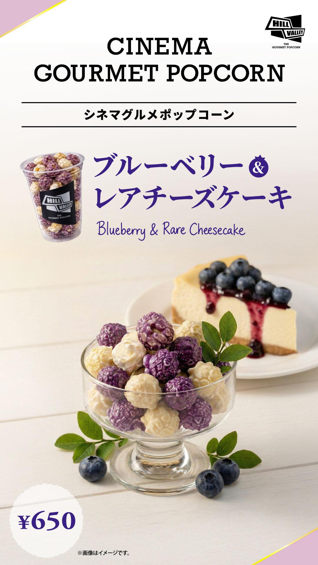 CGPブルーベリー＆レアチーズケーキ