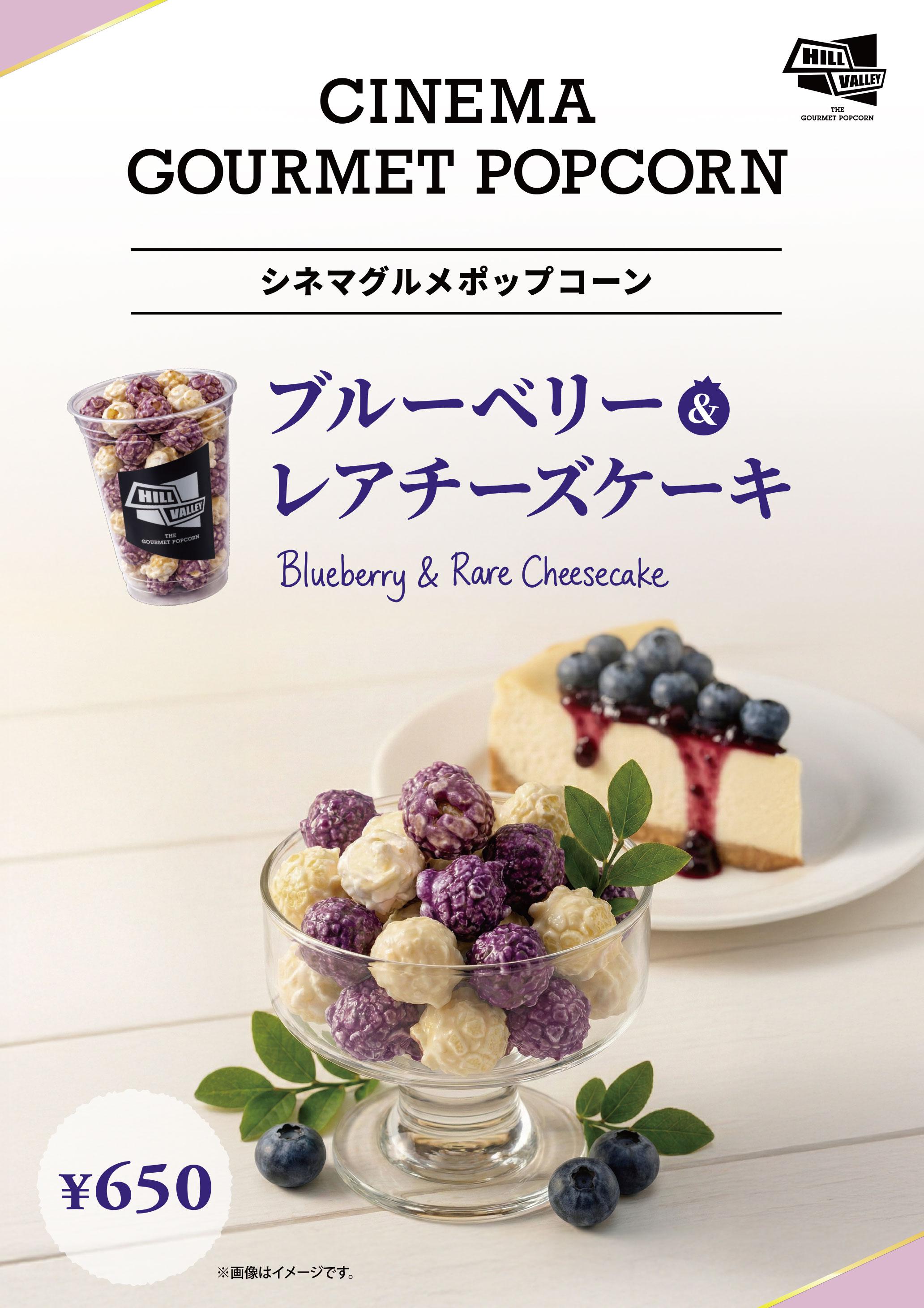 ヒルバレー　ブルーベリー＆レアチーズケーキ